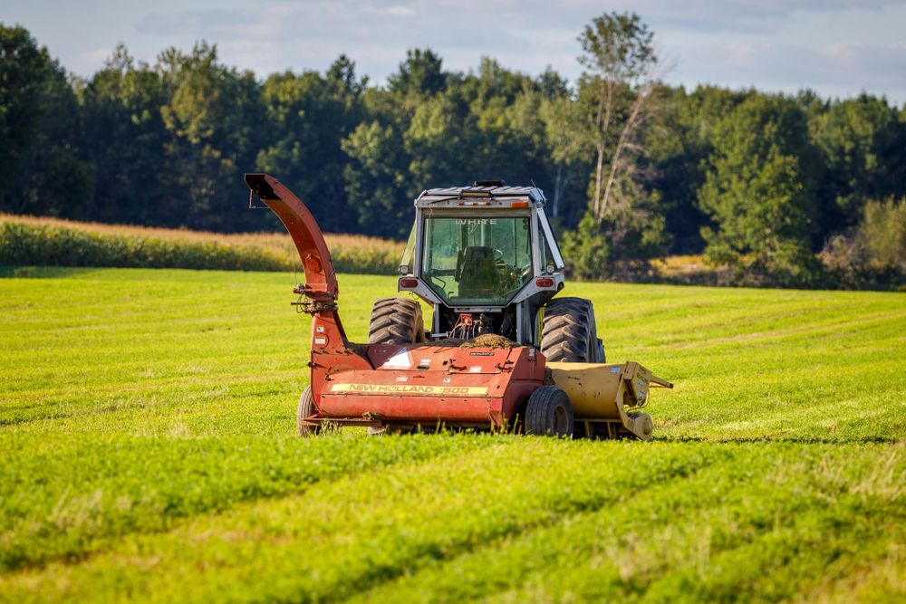 Our Brush Hogging service efficiently clears overgrown land, enhancing property appearance and accessibility. Ideal for maintaining fields, trails, or large lawns, we ensure a clean and organized landscape for your home area. for Vaughan Land Management  in Lawton, Oklahoma