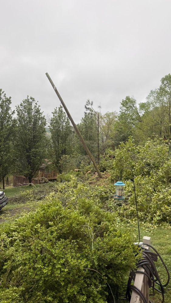 All Photos for Chipper's Tree Service  in Fort Payne, AL