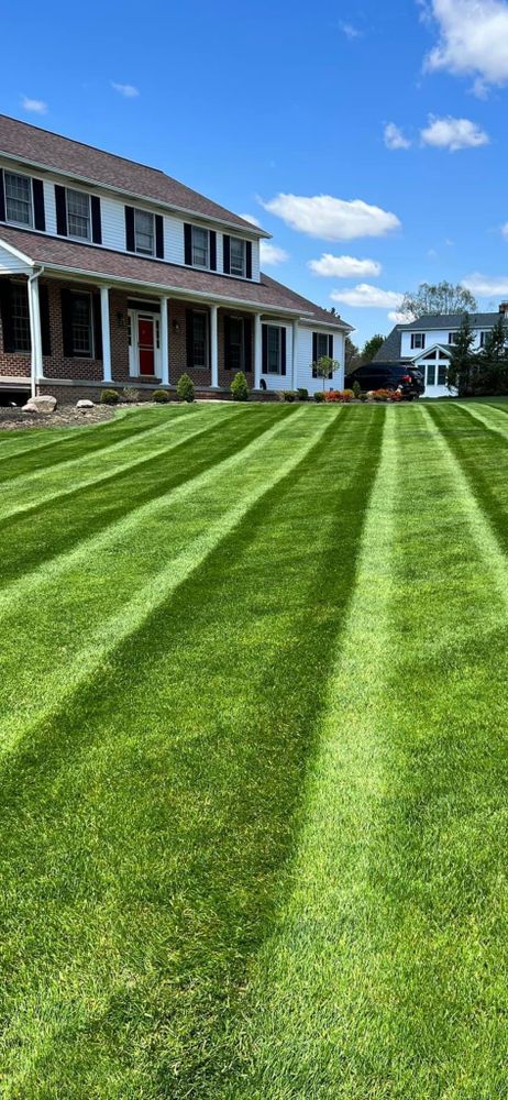 Landscaping for Next Level Outdoor Services in Akron, OH