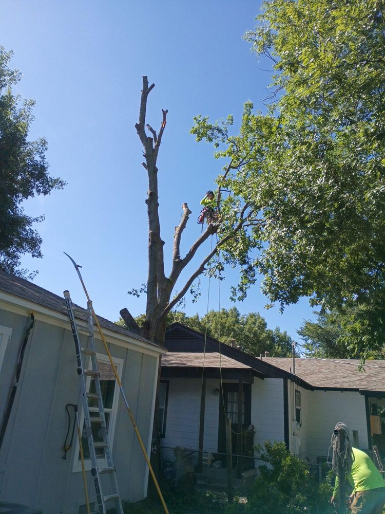 All Photos for Teague Trees and Land Clearing in Rendon, TX