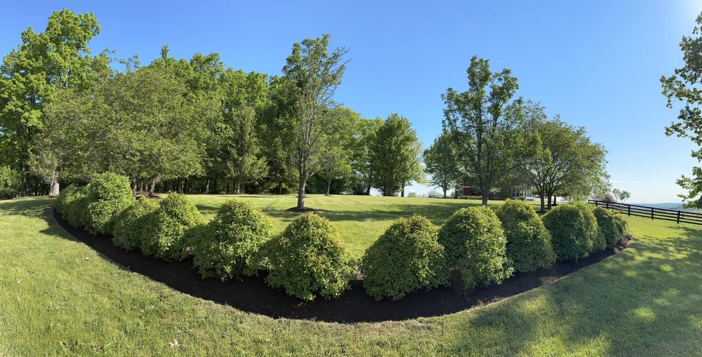 Lawn Care for Lopez Landscaping and Hardscapes in Scranton, PA