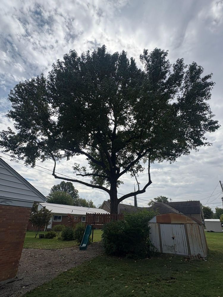 All Photos for Dig-It Tree Company in , 