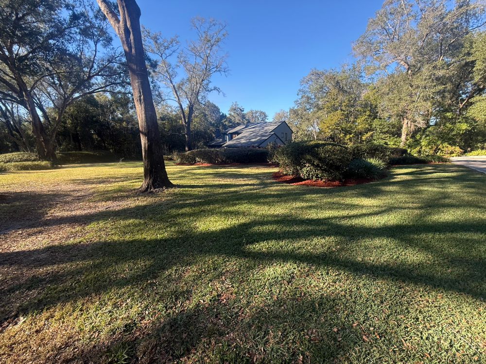 All Photos for Amerigrown Tree And Lawn in Apopka, FL