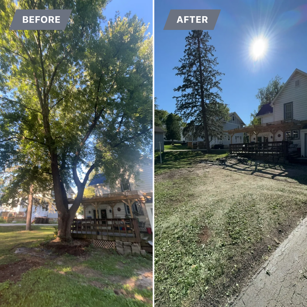 All Photos for Fransen's Tree Service  in Freeport, IL