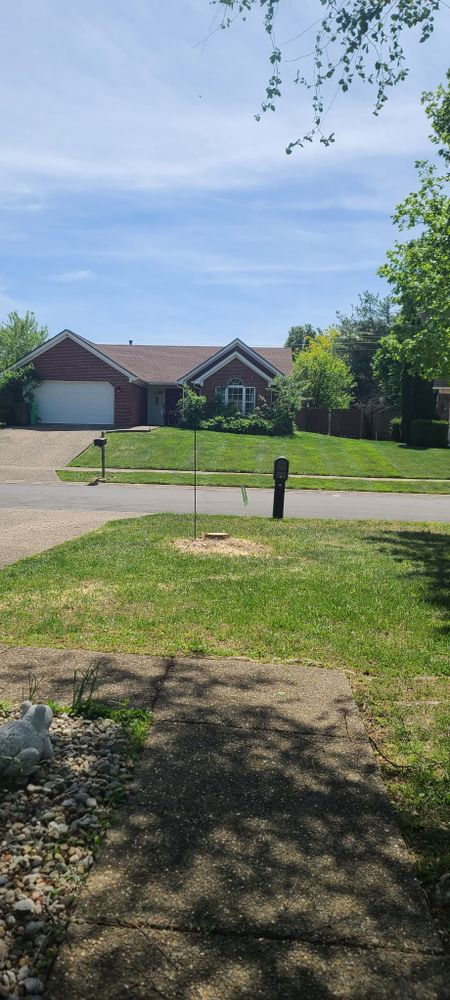 All Photos for Lightning Tree Service in Corydon, IN