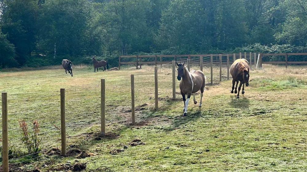 Fencing for Oats Equestrian Fencing LLC in Arlington, WA