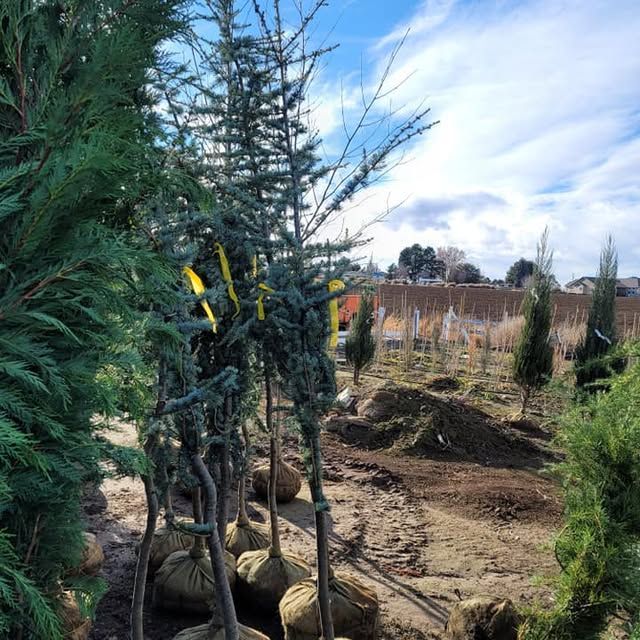 All Photos for Mike's Grading Plus in Caldwell, ID