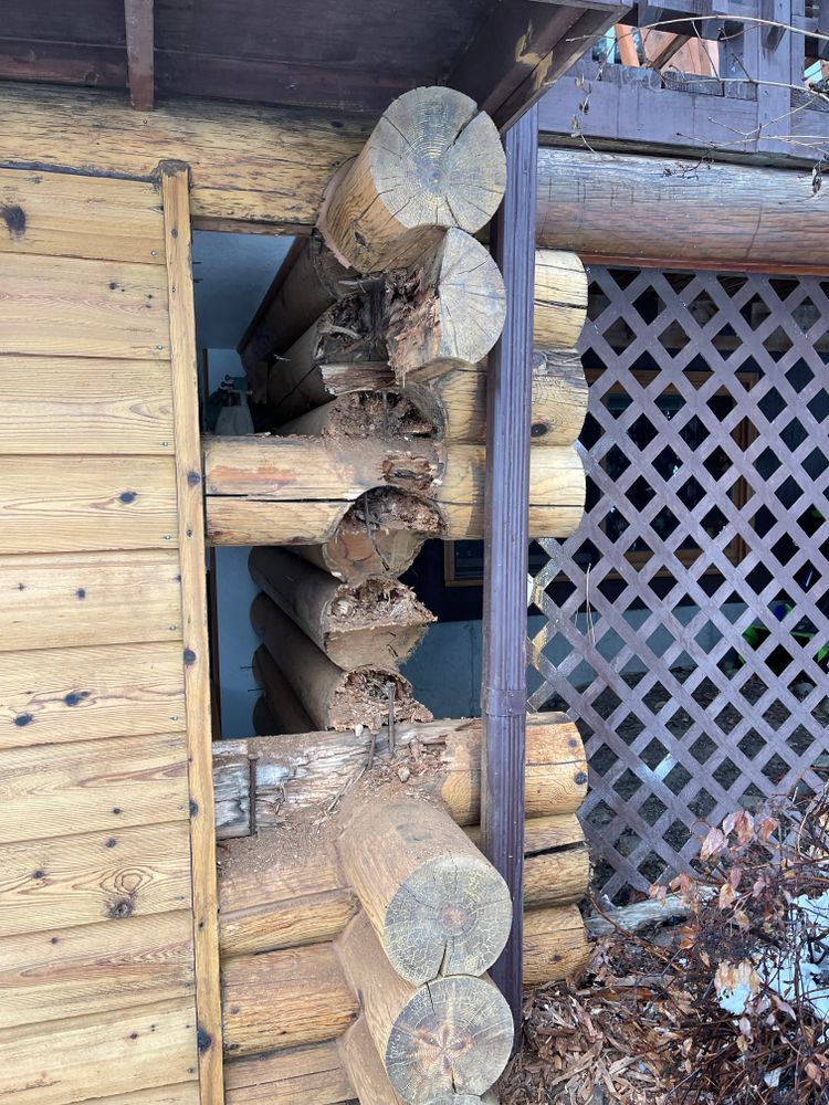 All Photos for Wild West Log home specialists in Corvallis, MT