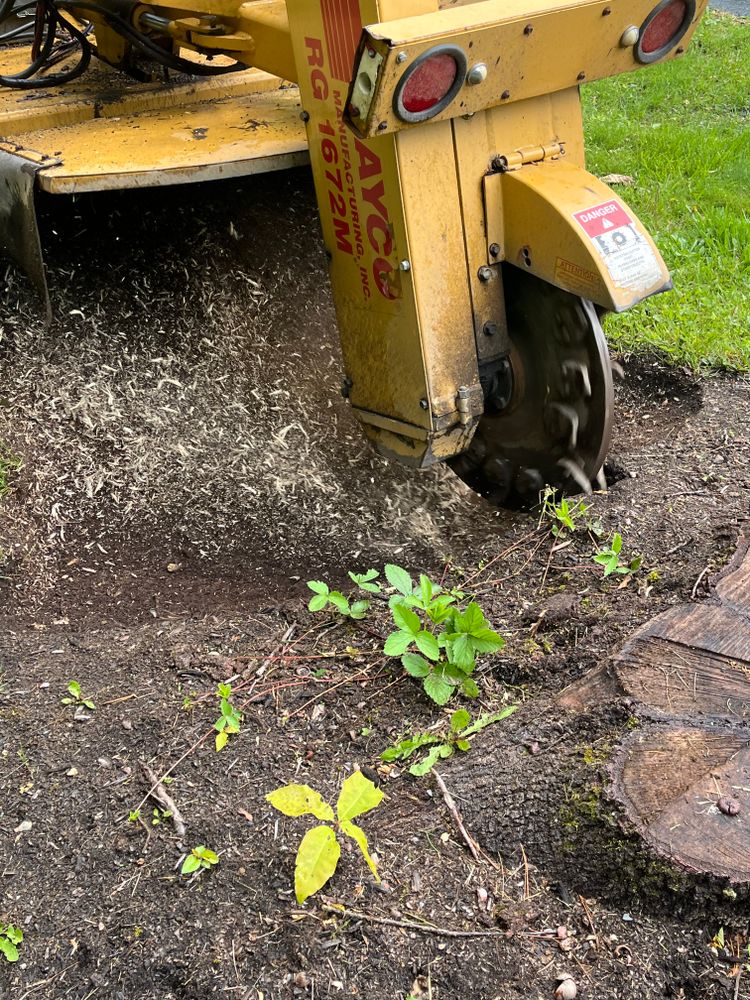 We offer professional stump removal services to fully eliminate unsightly tree stumps from your property, ensuring a clean and safe outdoor space for you and your family to enjoy. for J&E Tree & Excavation Services in Sandy, PA