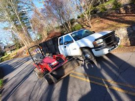 Landscaping for Platas Landscaping & Tree Service in Clyde, NC