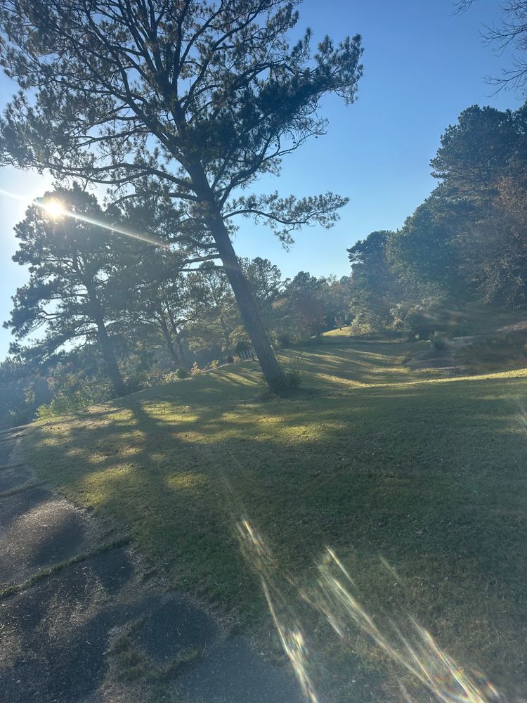 All Photos for J.P Landscaping and excavation in Chattanooga, TN