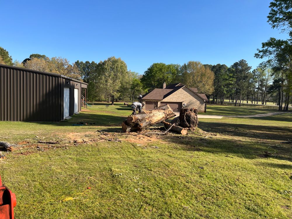 All Photos for JC Land and Tree Service in Kilgore, TX