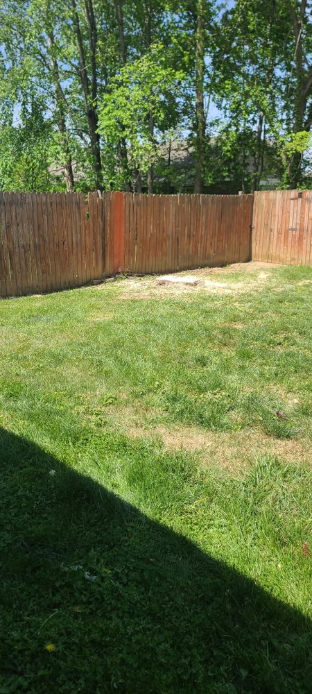 All Photos for Lightning Tree Service in Corydon, IN