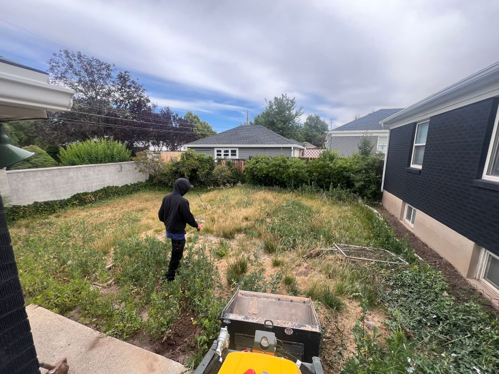 All Photos for Mount Olympus Landscaping in South Jordan, UT