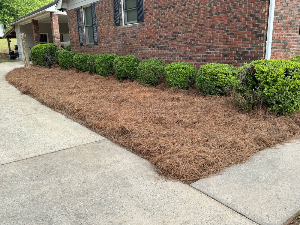 Land Managment  for Camalett Services in Perry, GA
