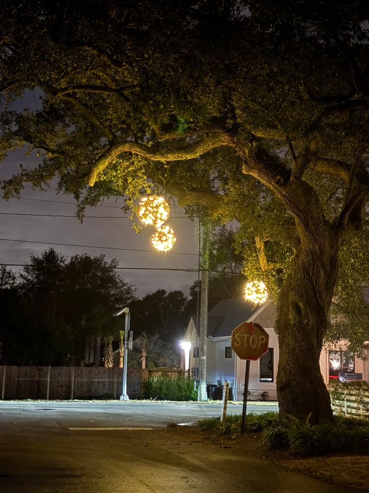 Landscaping for Wheelhouse Irrigation and lighting in Charleston, South Carolina