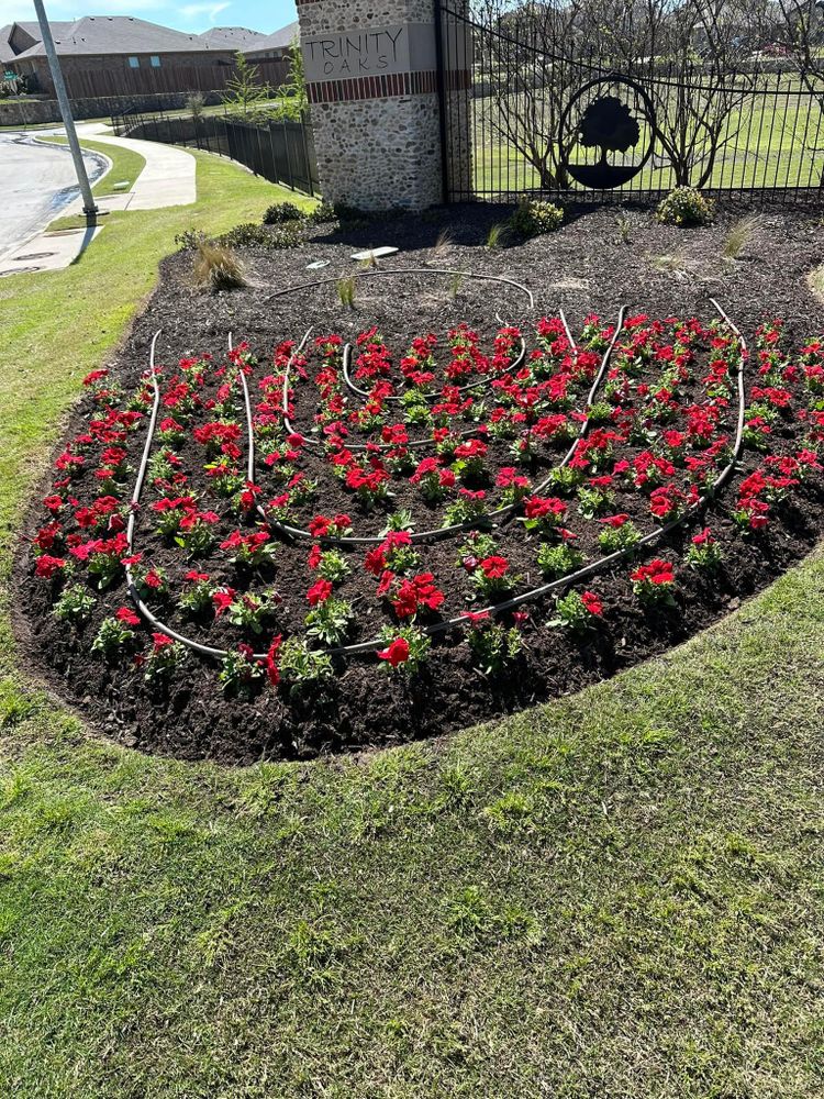 Seasonal color changes for Guerrero's Landscape in Fort Worth,  TX