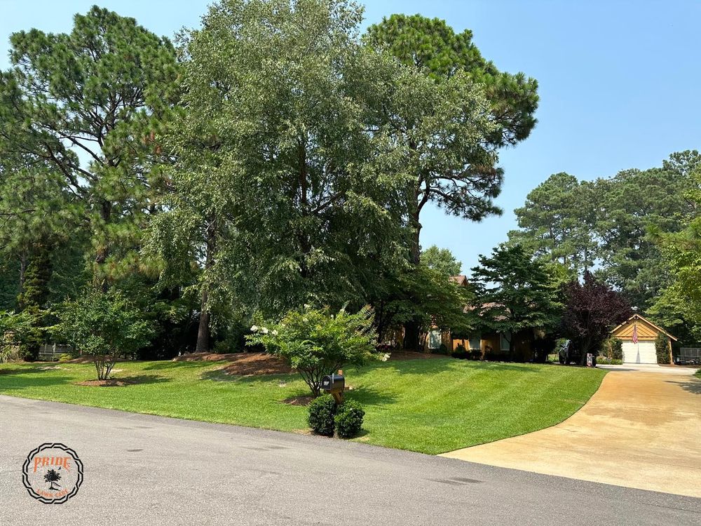 Lawn Care for Pride Lawn Care in Hope Mills, NC