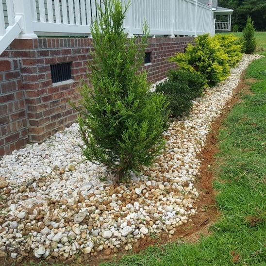 Enhance your outdoor space with our expert Tree & Shrub Care service. We ensure healthy growth and lush appearance through professional pruning and nurturing techniques tailored to your landscape's unique needs. for RA Lawn Care, Landscape & Hardscape in Littleton, NC