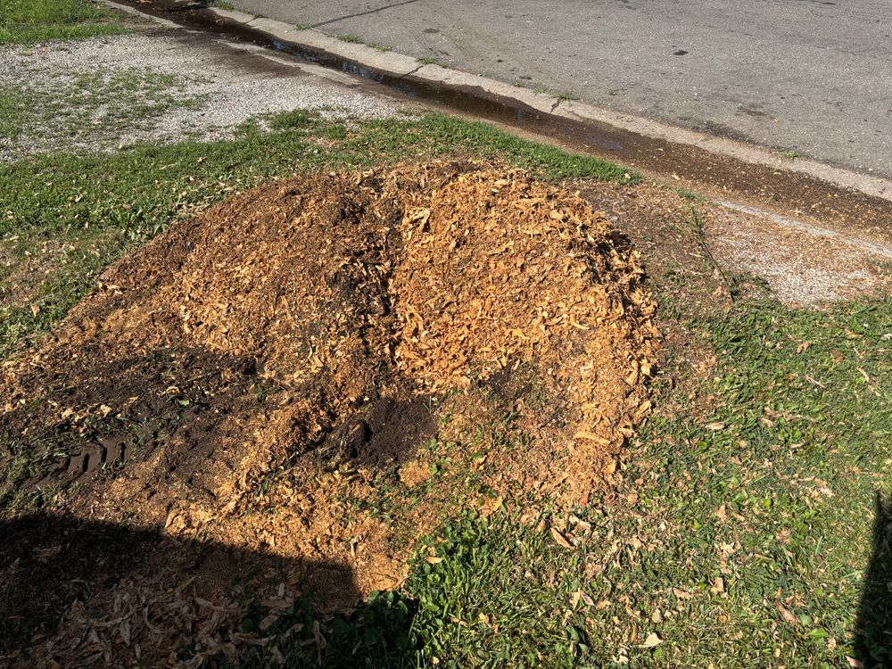 All Photos for Conrad's Stump Removal in Columbus, IN