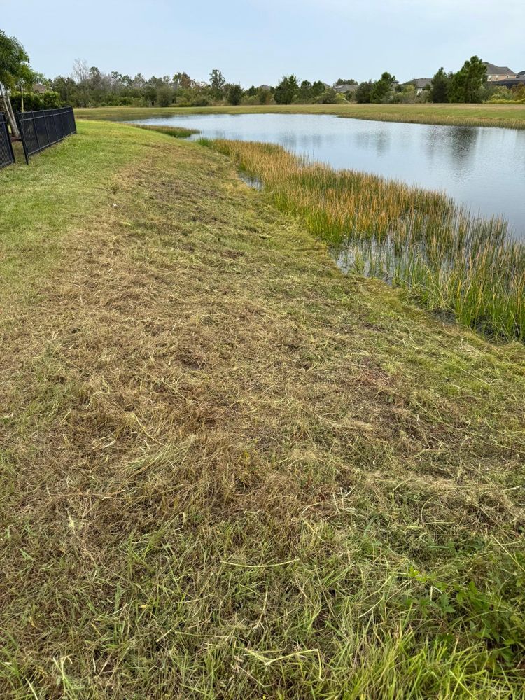 All Photos for Shoreside Property Services in Apollo Beach, FL