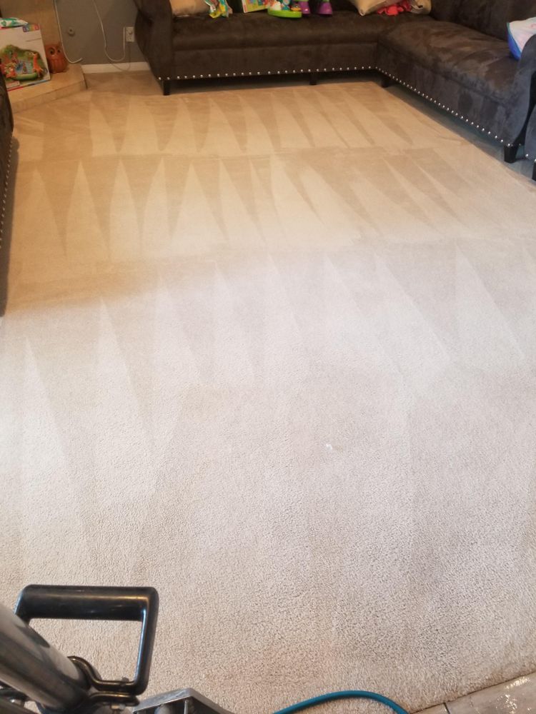 Carpet Cleaning for M.P.C.S in Los Angeles County, CA