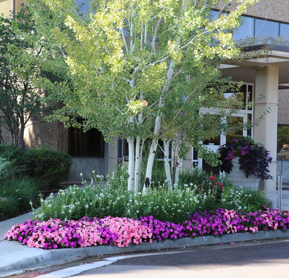 All Photos for Ecogreen Landscape in Denver, CO