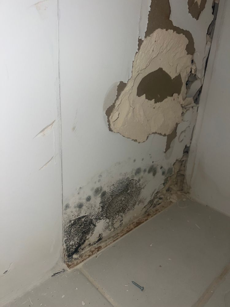 All Photos for N&D Restoration Services When Disaster Attacks, We Come In in Cape Coral,  FL
