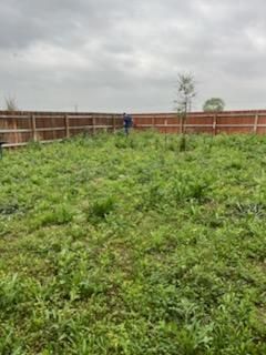 All Photos for Oviedo Land & Garden in Bastrop, TX