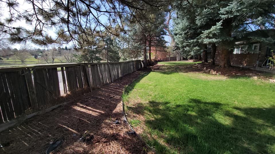 Landscaping for NGL Landscape Company in Denver, CO