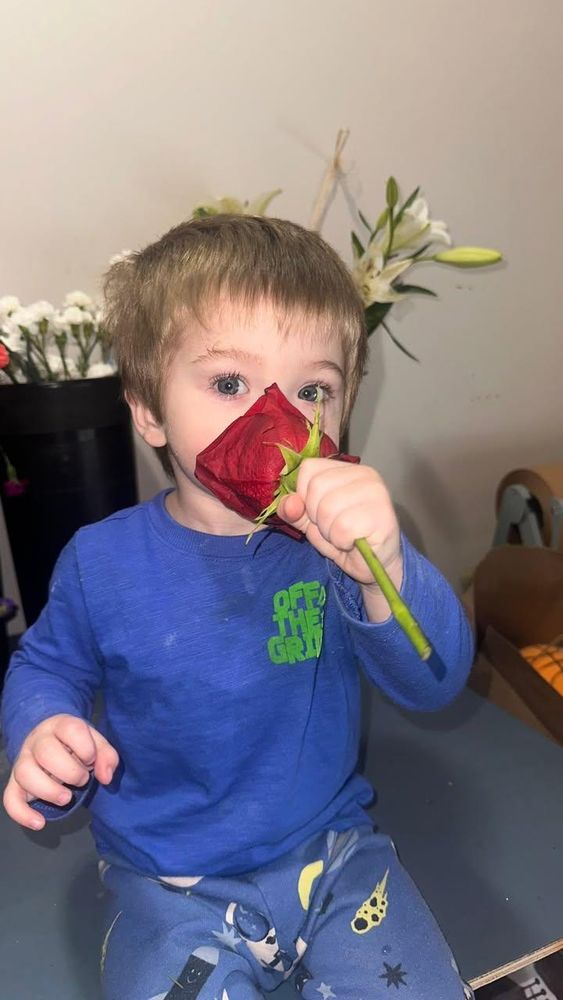 All Photos for The Dailey Daisy in Hardwick, VT