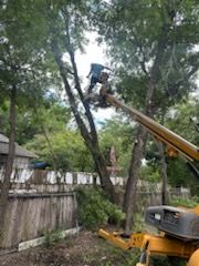 Tree Trimming for CrossCut in Kempner, TX