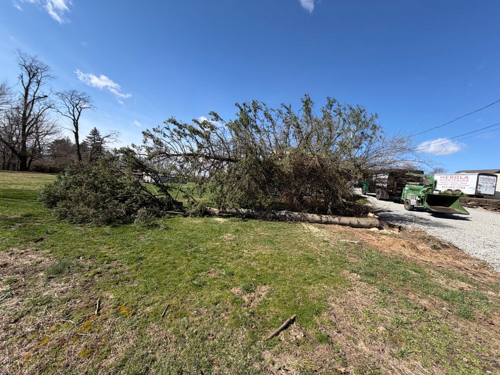 All Photos for Gregory Godleski Jr's Tree Service in Wexford, PA