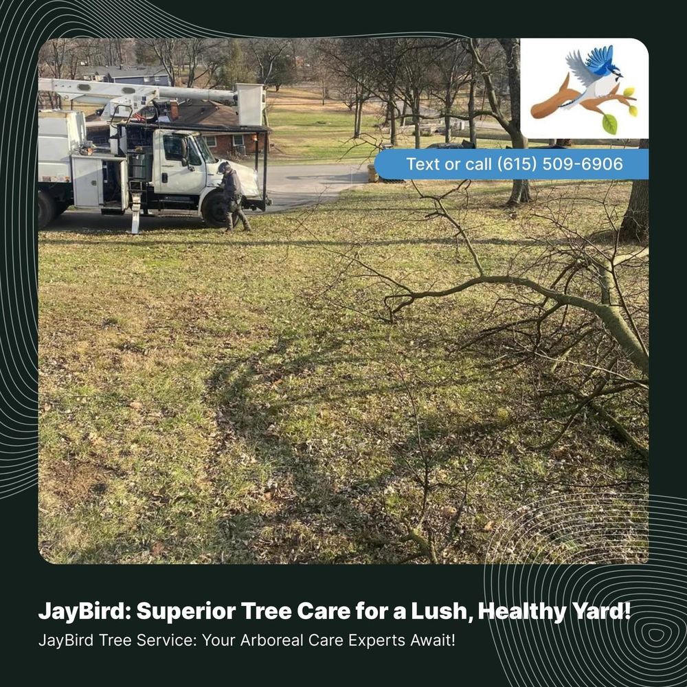 instagram for JayBird Tree Service  in Goodlettsville, TN