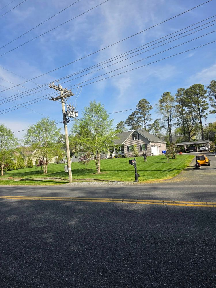All Photos for Francos Landscaping LLC in Rehoboth Beach, DE