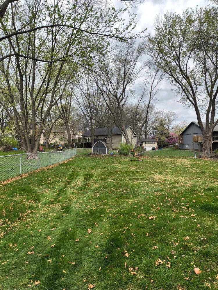 Tree Removal for Cross Family Tree Service in Kearney, MO