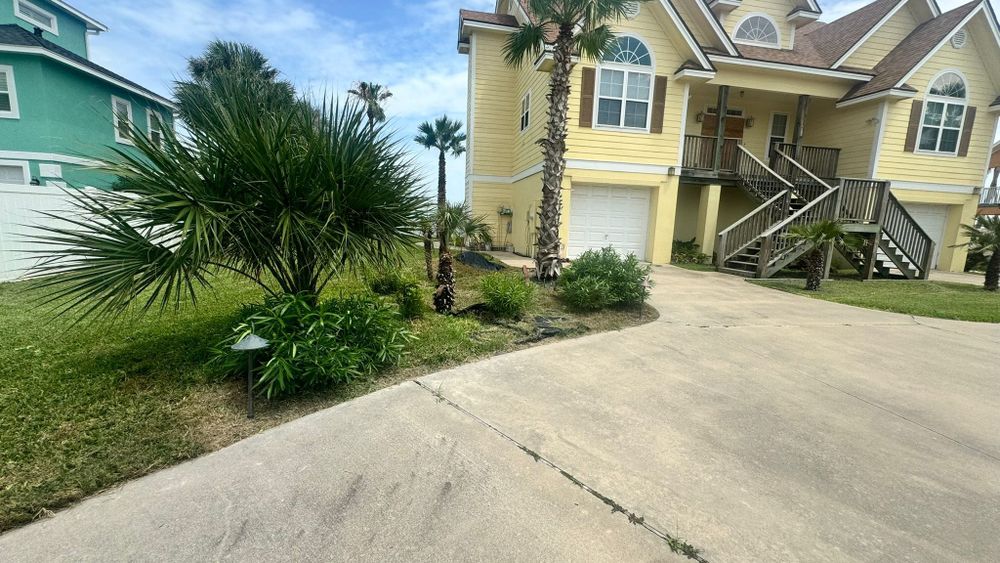 All Photos for CRM Palm & Landscaping in Rockport, TX