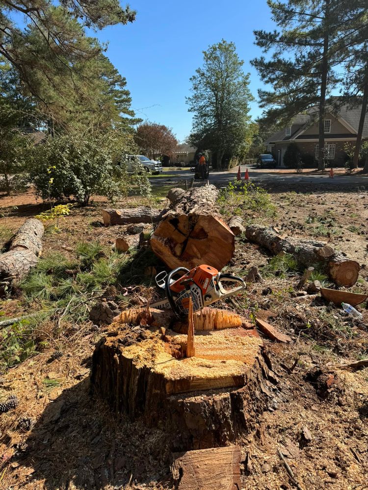 All Photos for Diversified Tree Company in Trinity, NC