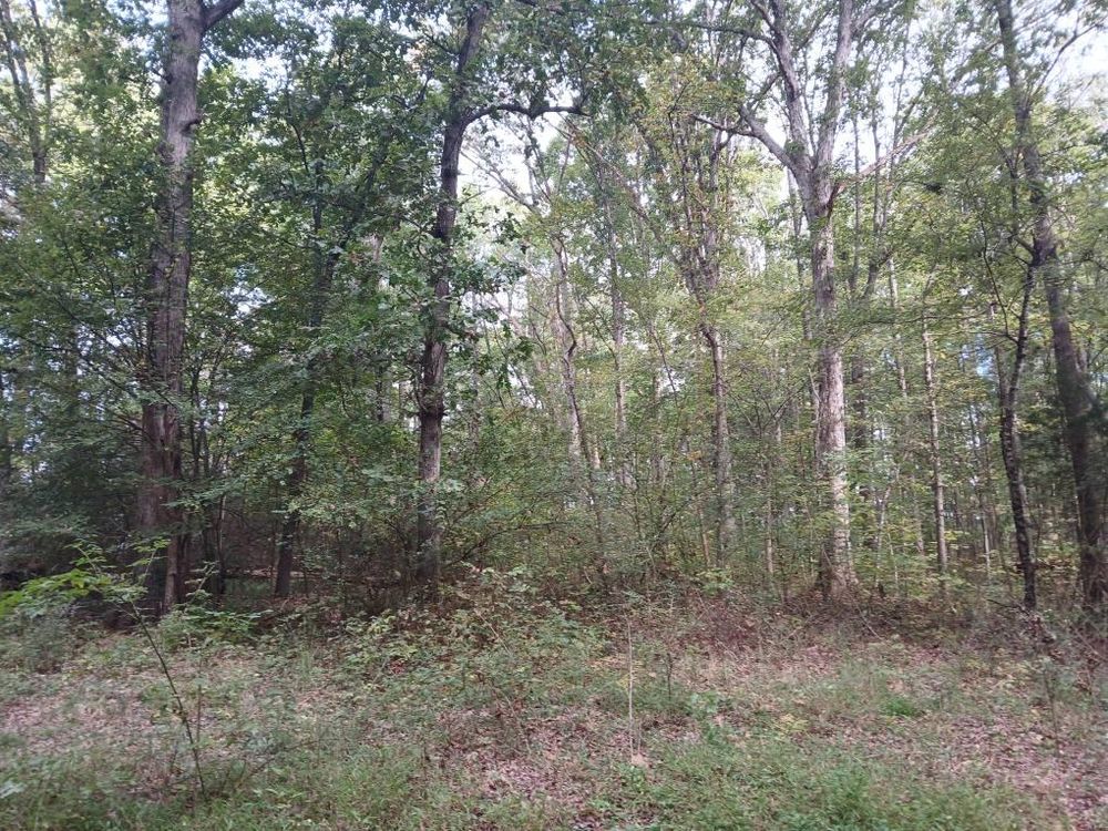 All Photos for Whiskey Ridge Mulching & Land Services in South Boston, VA