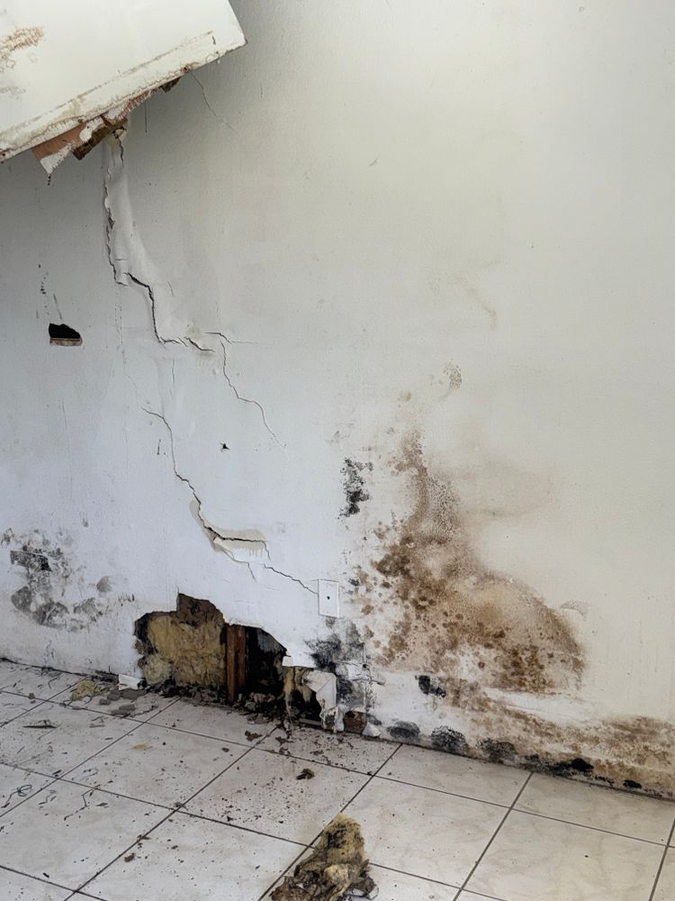 All Photos for N&D Restoration Services When Disaster Attacks, We Come In in Cape Coral,  FL