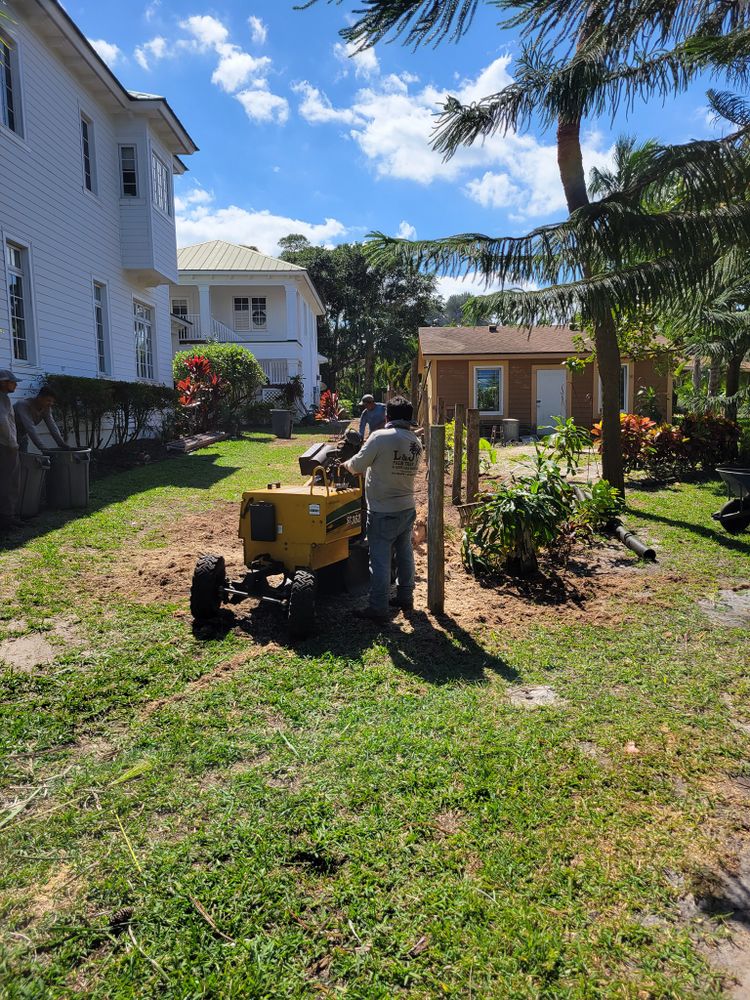 All Photos for L & J Palm Tree & Lawn Care Services in Jupiter, FL