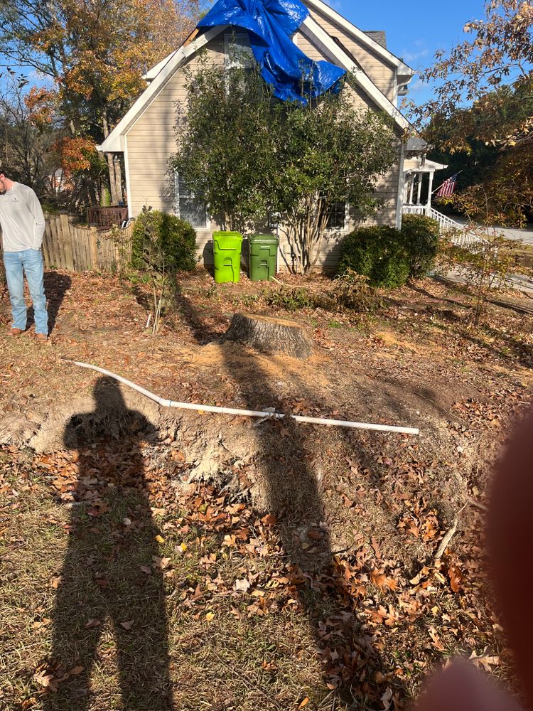 Stump Grinding for Otis Lee Stump Grinding LLC in Elgin, SC