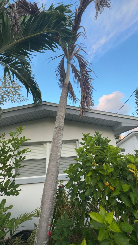 All Photos for Space Coast Property Maintenance and Management LLC in Brevard County, FL