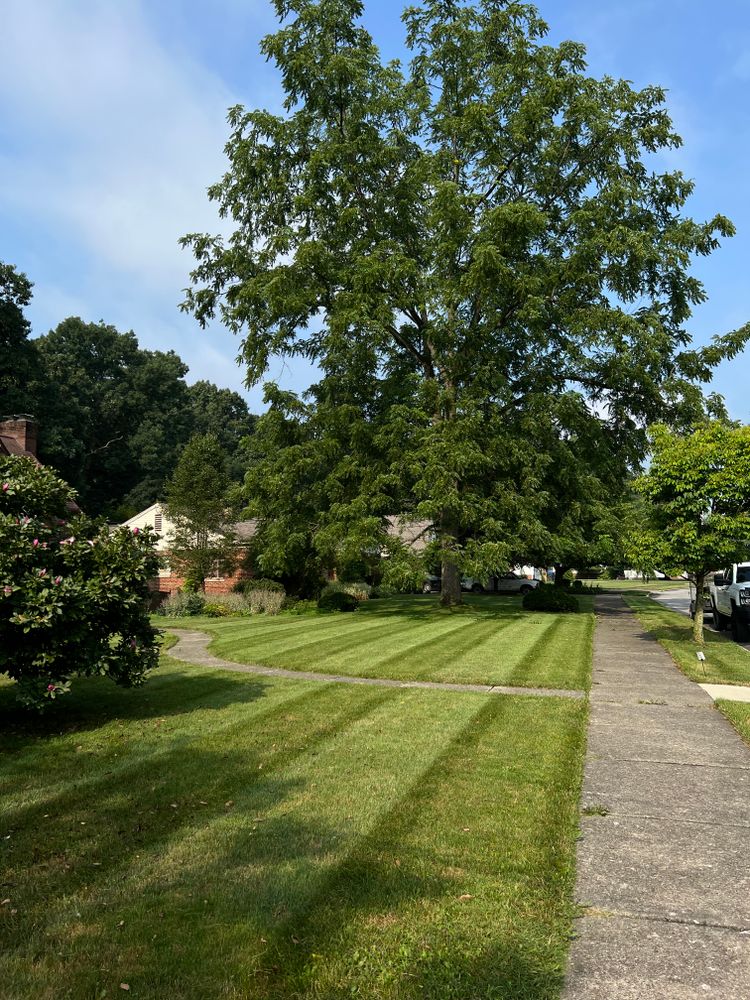 Lawn Care for Tactical Stripes Lawn care in Uniontown, OH