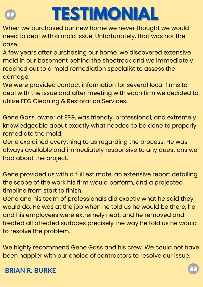 Customer Testimonials for EFG Cleaning and Restoration in Poughkeepsie, NY