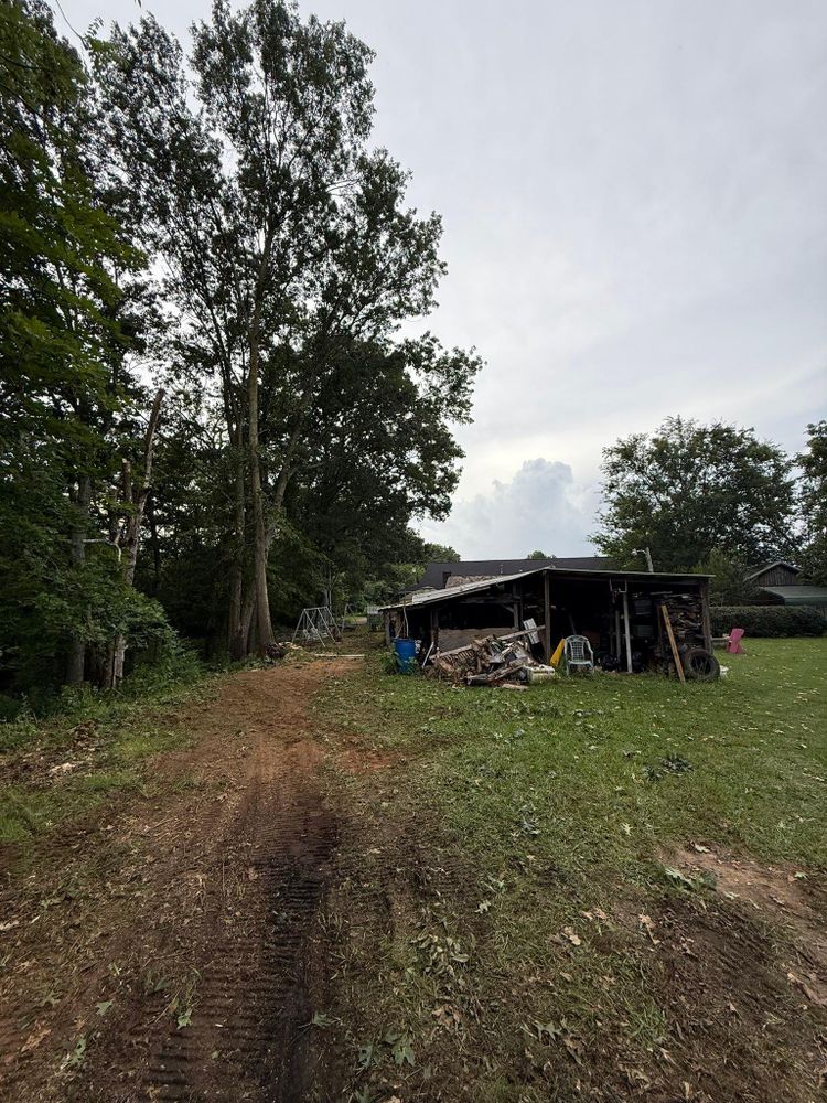 All Photos for Mud Creek Vegetation Management in Russellville, AL