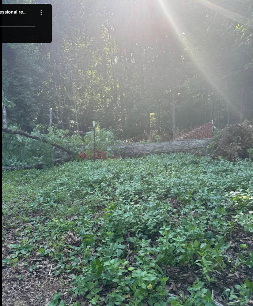 All Photos for Hamlett Tree Service LLC in Clover, VA