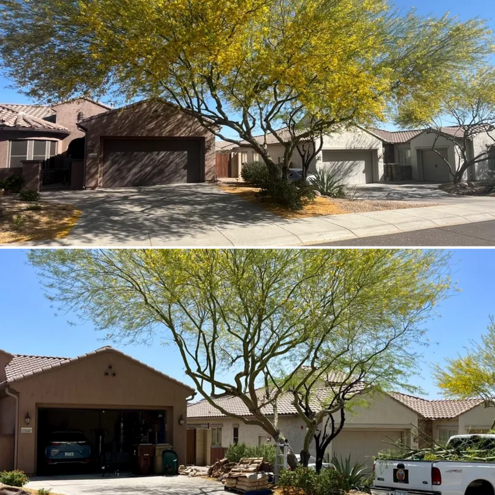 Topiary & Lawn Care for Grand Canyon State Landscape Inc. in Surprise, AZ