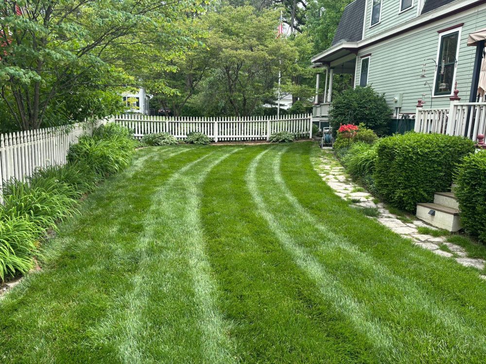 All Photos for Andrew's Lawn Service LLC in Lebanon, IL