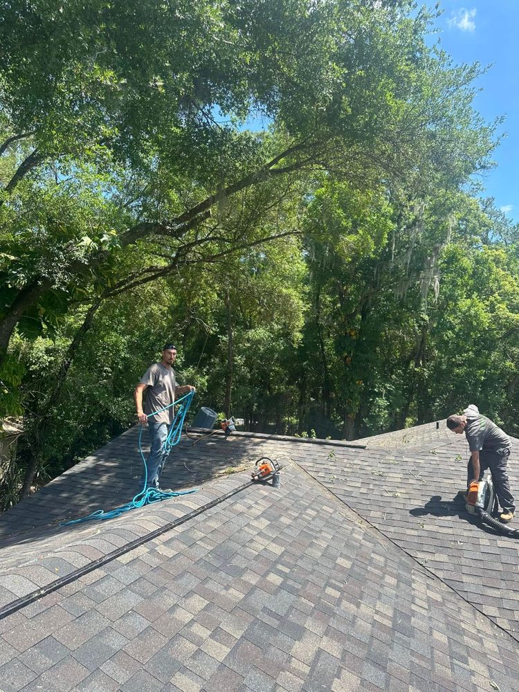 Tree Removal for Narrow Path Tree Service in Deland, FL